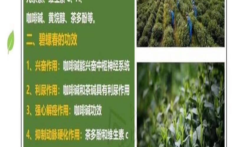 绿茶的营养价值有哪些,樱桃的营养价值与食用功效