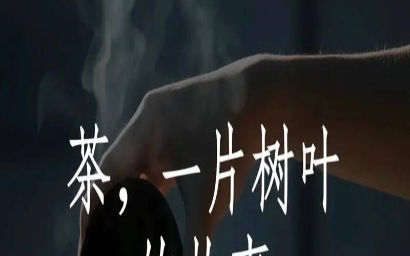一片叶子落在水里变成了茶