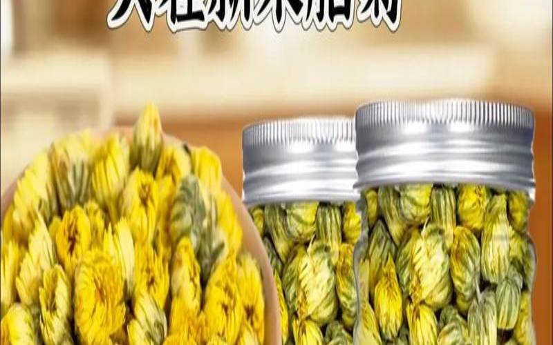 杭白菊是胎菊吗,杭白菊是胎菊花吗 杭白菊是胎菊吗,杭白菊是胎菊花吗
