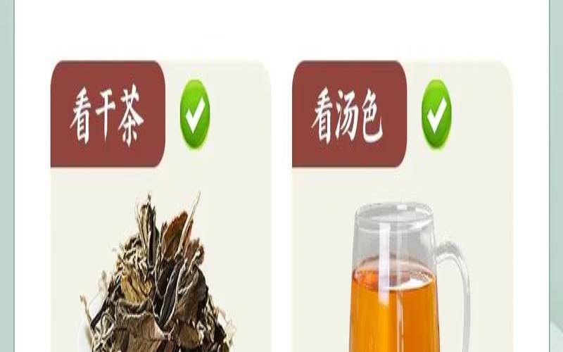 茶叶的保质期访谈，茶叶保质期的新规定
