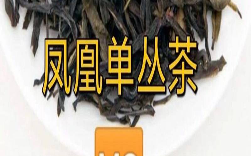 凤凰单枞乌龙茶批发,乌龙茶凤凰单枞属于什么茶 凤凰单枞乌龙茶批发,乌龙茶凤凰单枞属于什么茶