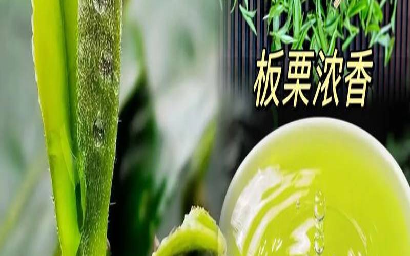 毛尖属于凉性还是热性的,毛尖茶一般人喝不了 毛尖属于凉性还是热性的,毛尖茶一般人喝不了
