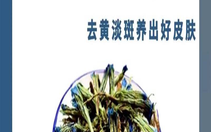 什么茶有美容祛斑的效果,什么茶祛斑美白效果最好 什么茶有美容祛斑的效果,什么茶祛斑美白效果最好