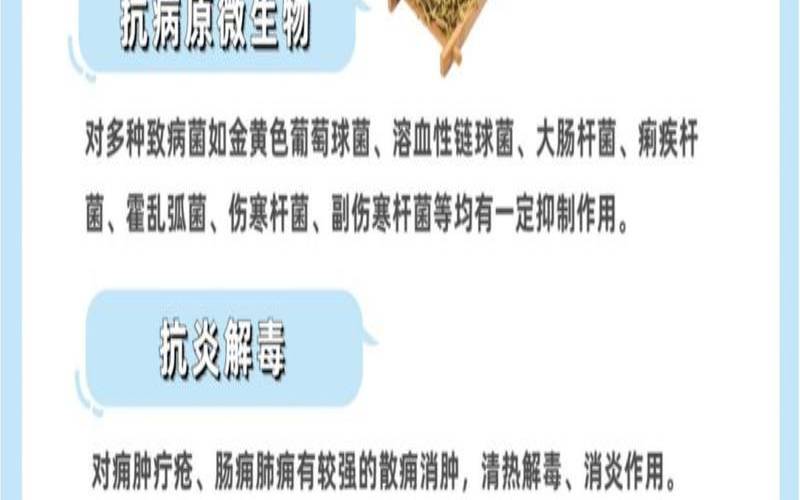 女生喝金银花茶的好处,女人喝金银花有什么好处 女生喝金银花茶的好处,女人喝金银花有什么好处