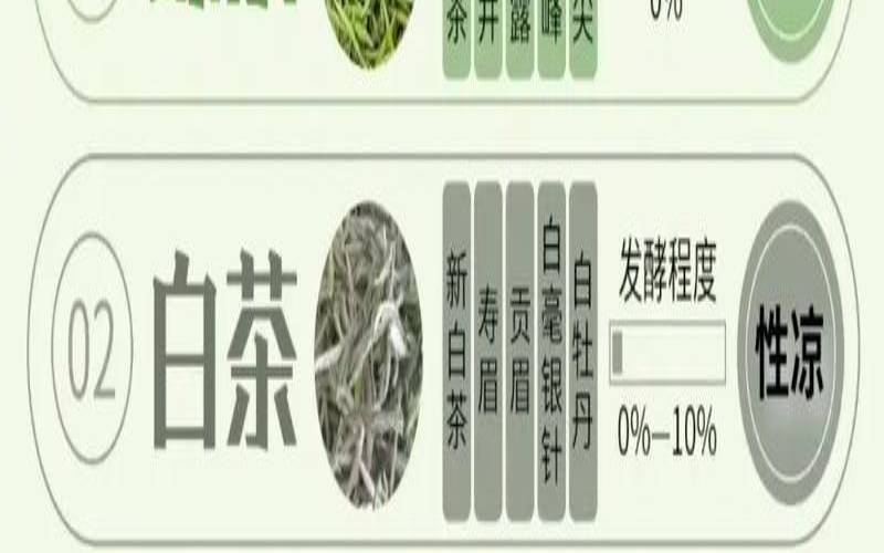 绿茶白茶红茶是什么意思,雪翼茶十大功效 绿茶白茶红茶是什么意思,雪翼茶十大功效