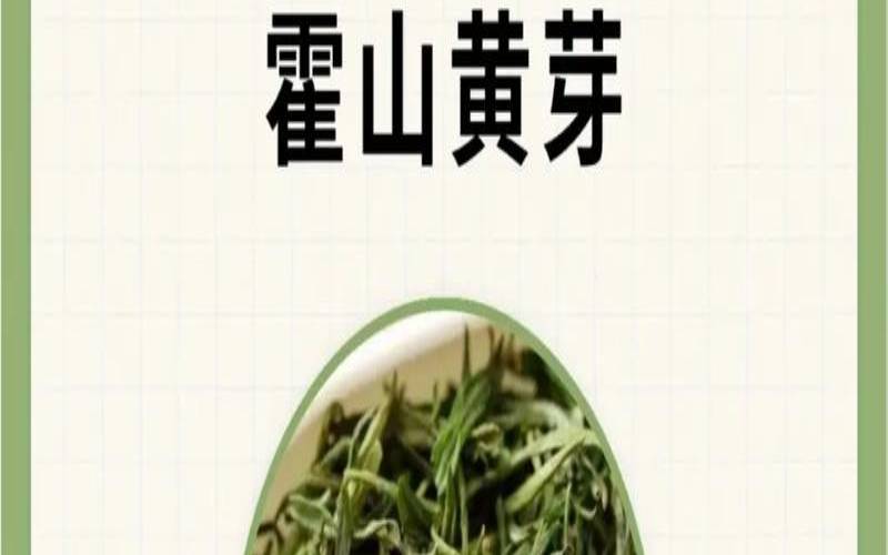 黄芽茶的冲泡方法,浓香型茶叶有哪几种 黄芽茶的冲泡方法,浓香型茶叶有哪几种