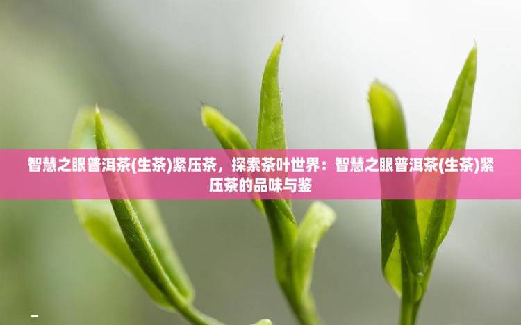 智慧之眼茶,智慧之眼生茶 智慧之眼茶,智慧之眼生茶
