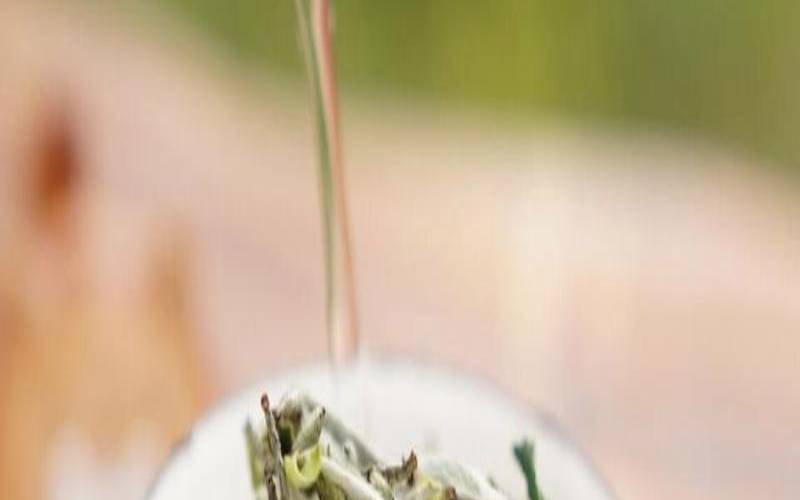 什么水温最适合泡白茶，白茶适合什么水温泡好