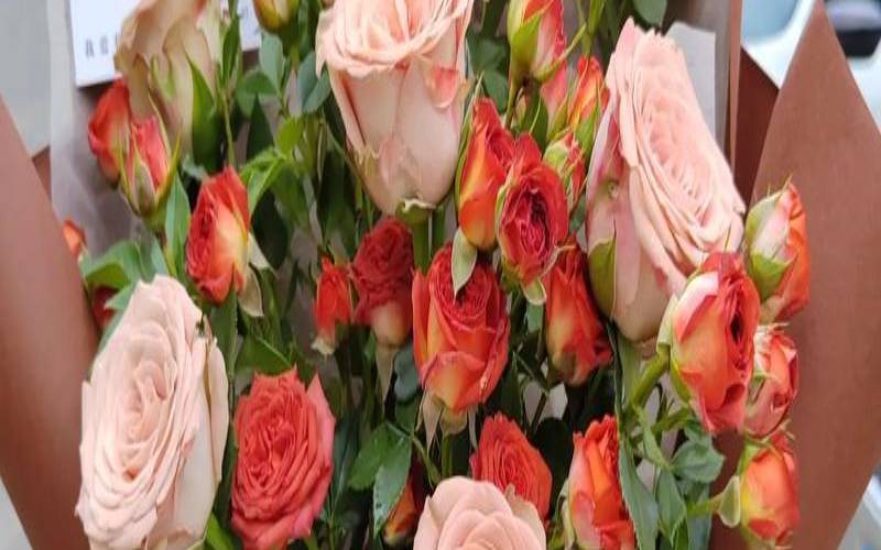 玫瑰花和什么是绝配，玫瑰花和什么是绝配