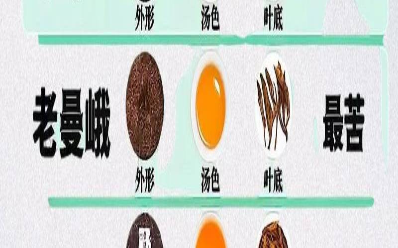 什么年份的普洱最好喝,什么年份的普洱茶叶比较好 什么年份的普洱最好喝,什么年份的普洱茶叶比较好