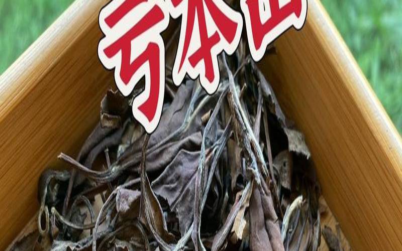 2003年福鼎白茶多少钱一饼,福鼎寿眉白茶价格