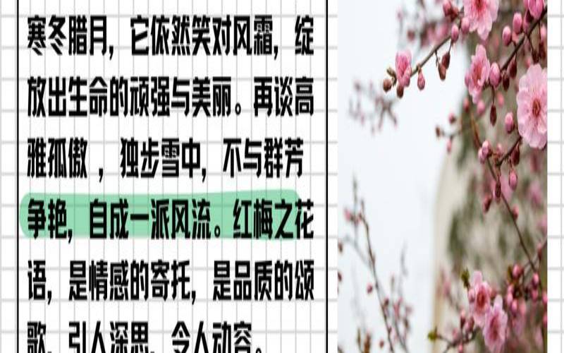 笔墨丹青下一句接什么,丹青的寓意和象征