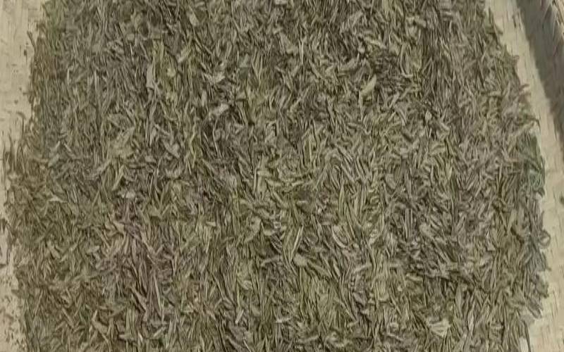 宜良宝洪茶多少钱一斤,云南普洱茶357克多少钱