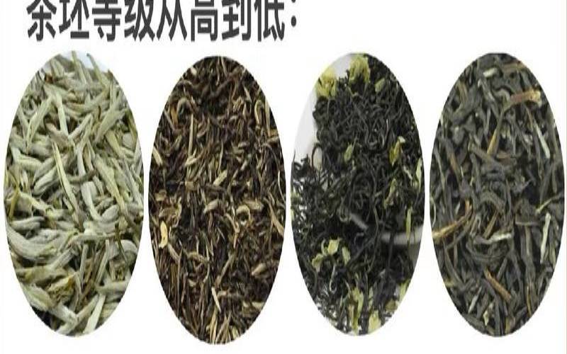 茉莉花茶级别怎么分,茉莉花茶级别一览表