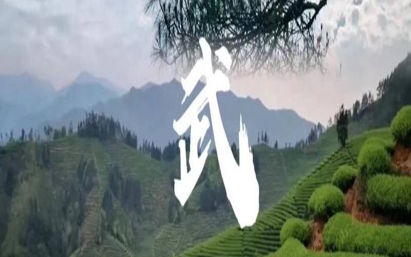 武夷山天子生态茶叶(武夷山天国茶叶),武夷山26家上榜茶企 武夷山天子生态茶叶(武夷山天国茶叶),武夷山26家上榜茶企