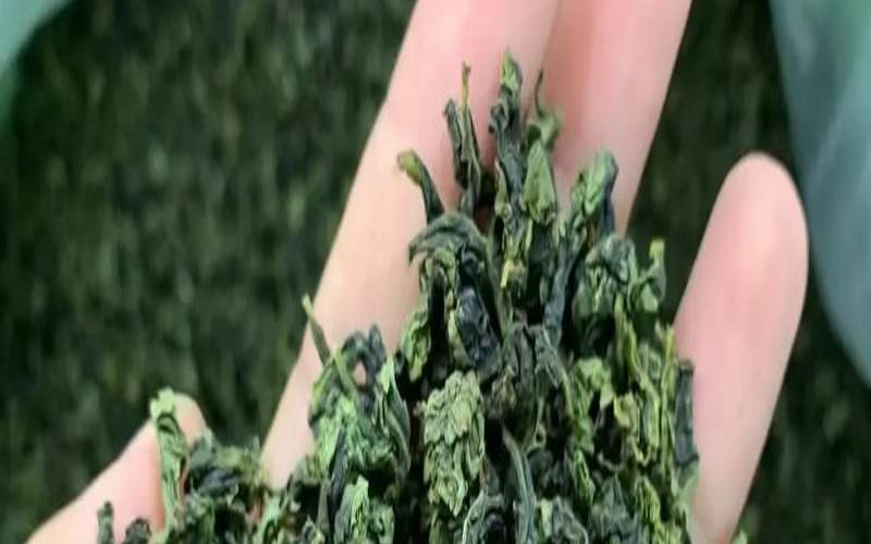 铁观音茶叶过期可以喝吗,请问过期的茶叶能喝吗 铁观音茶叶过期可以喝吗,请问过期的茶叶能喝吗