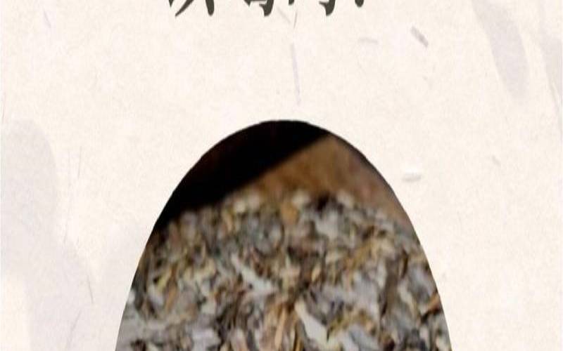 昆明缘聚商务酒店,隔夜普洱茶能喝吗 昆明缘聚商务酒店,隔夜普洱茶能喝吗