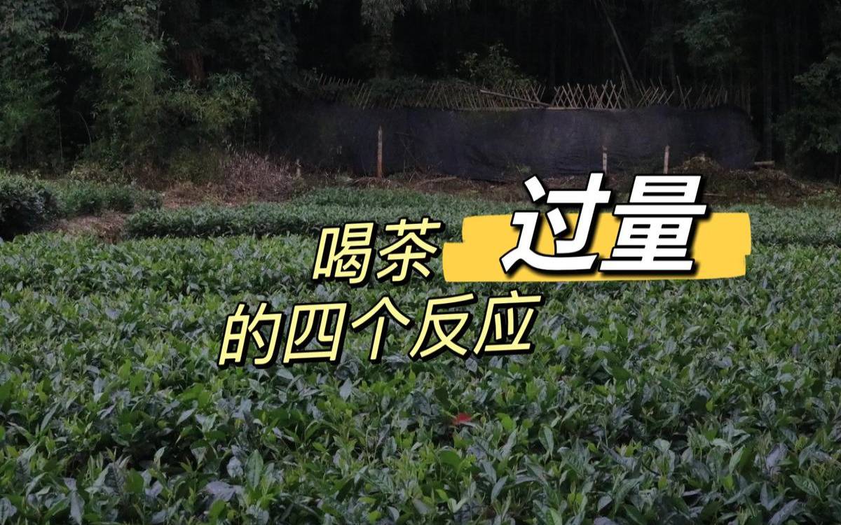 浓茶对身体健康造成影响,一杯浓茶能提神几个小时 浓茶对身体健康造成影响,一杯浓茶能提神几个小时