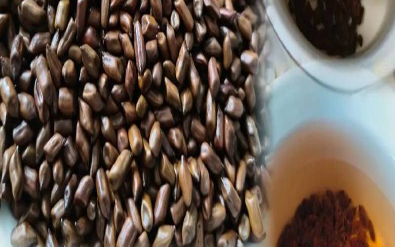 决明子茶降压效果明显吗,决明子茶降血压效果咋样 决明子茶降压效果明显吗,决明子茶降血压效果咋样