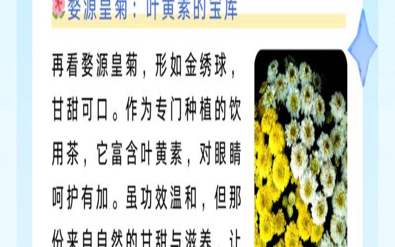胎菊是菊花吗,湿气重可以喝金丝皇菊吗 胎菊是菊花吗,湿气重可以喝金丝皇菊吗