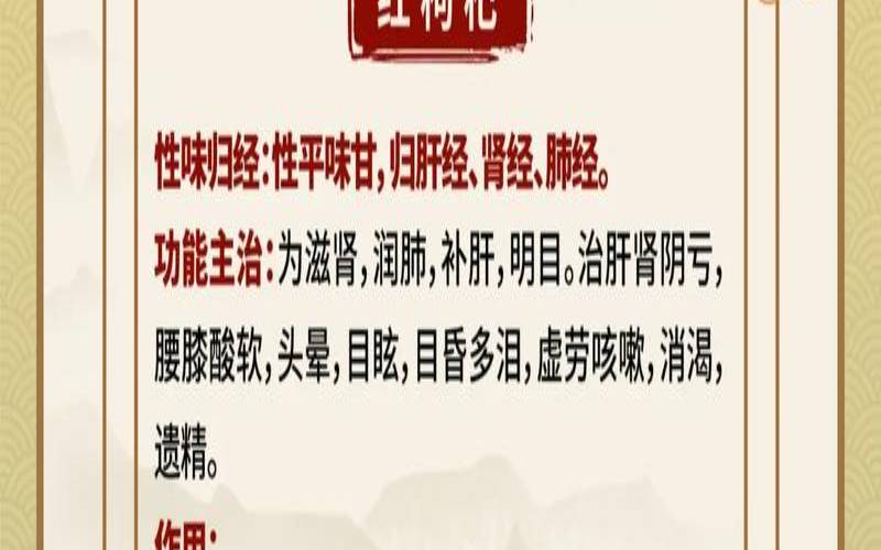 枸杞的功效是哪些,枸杞的药用功效 枸杞的功效是哪些,枸杞的药用功效