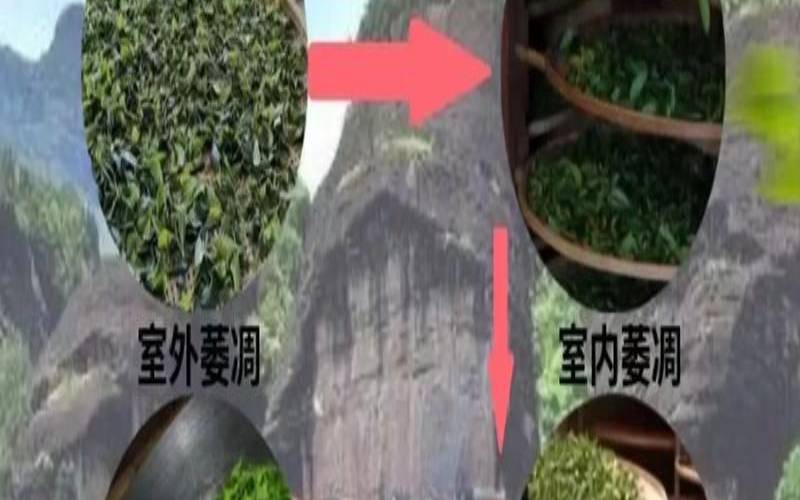 金凤乌龙茶的功效与作用,四大乌龙茶的代表茶 金凤乌龙茶的功效与作用,四大乌龙茶的代表茶