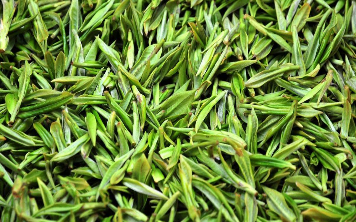 金山翠芽介绍,镇江茶叶金山翠芽 金山翠芽介绍,镇江茶叶金山翠芽