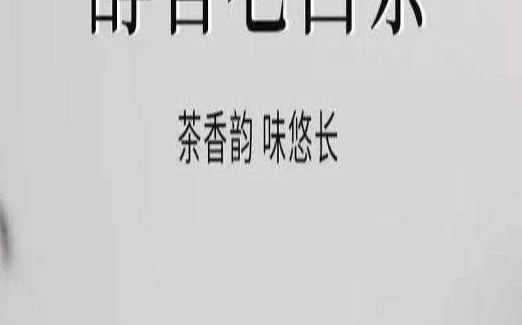 福鼎白茶什么季节的茶好,福鼎白茶多少钱一斤 福鼎白茶什么季节的茶好,福鼎白茶多少钱一斤