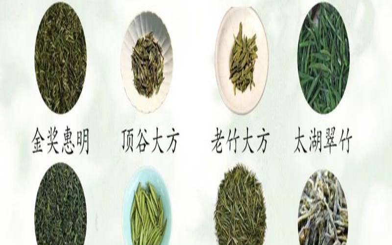 绿茶树的品种有哪些,绿茶都有什么茶品种