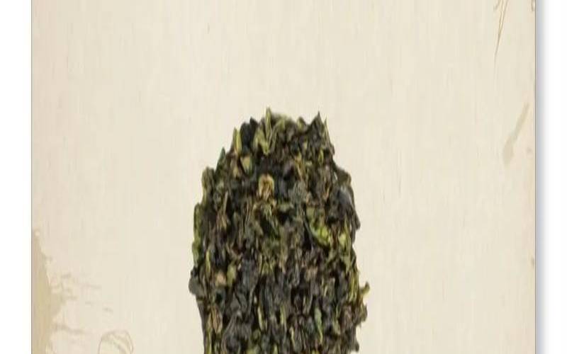 黄金桂属于绿茶还是红茶,黄金桂茶不适宜人群 黄金桂属于绿茶还是红茶,黄金桂茶不适宜人群