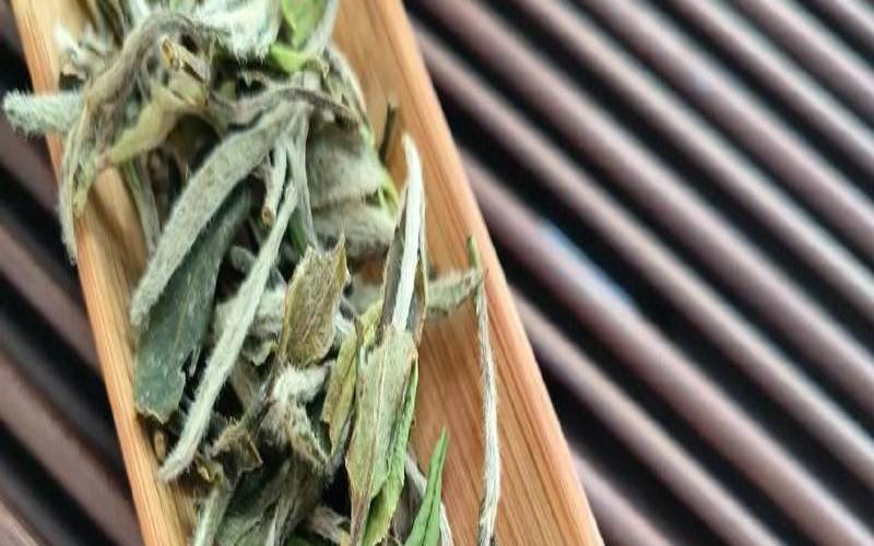 白茶性格怎么样,喝白茶的人什么性格