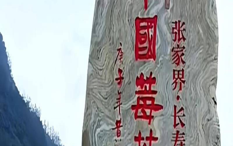 张家界莓茶的危害和副作用,张家界莓茶哪个品牌正宗