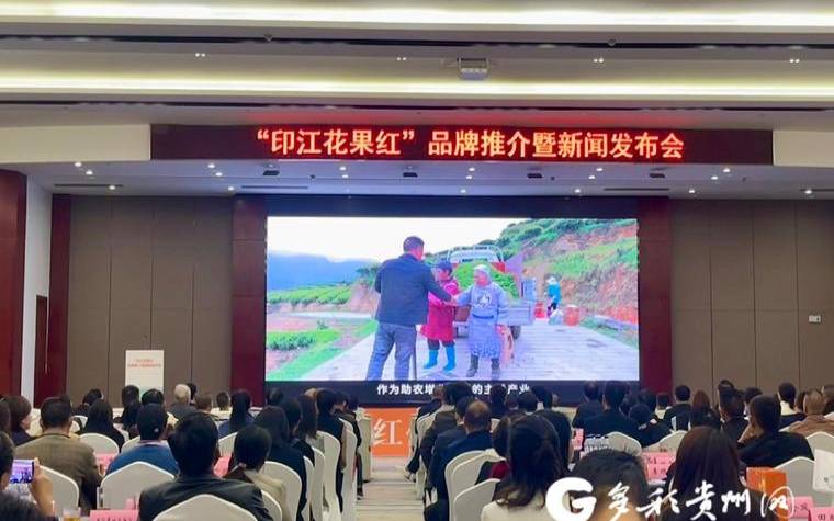 印江县茶产业发展现状,未来五年茶叶发展趋势 印江县茶产业发展现状,未来五年茶叶发展趋势