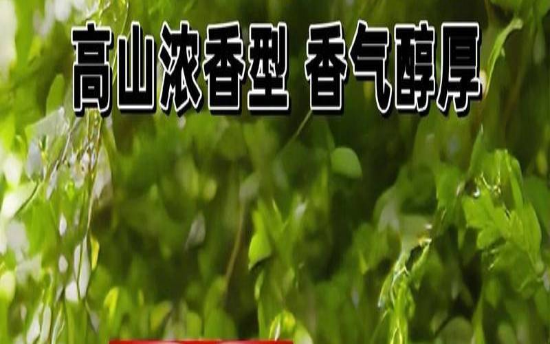 俄罗斯茶种类,俄罗斯高山红茶
