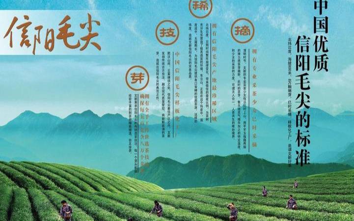 信阳茶文化旅游线路,信阳哪种茶叶最出名 信阳茶文化旅游线路,信阳哪种茶叶最出名