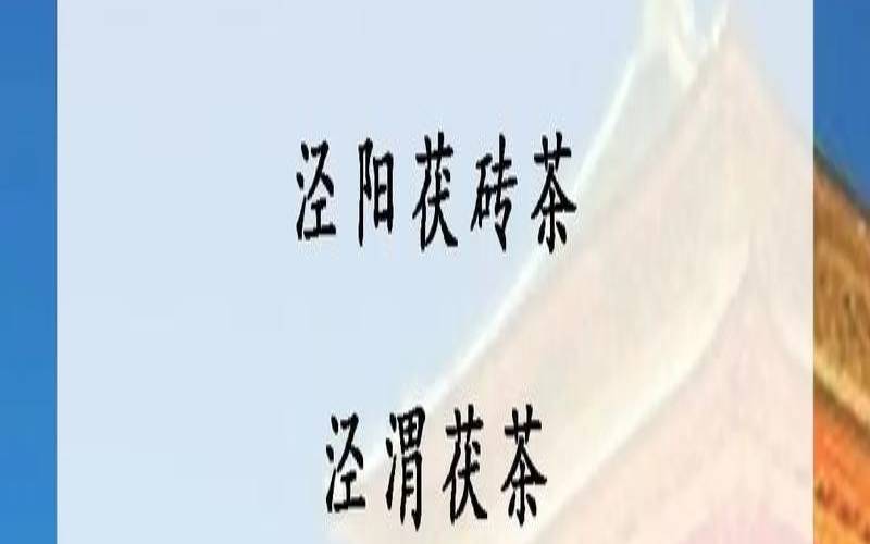 陕西的茯茶有什么功效,陕西茯茶介绍 陕西的茯茶有什么功效,陕西茯茶介绍