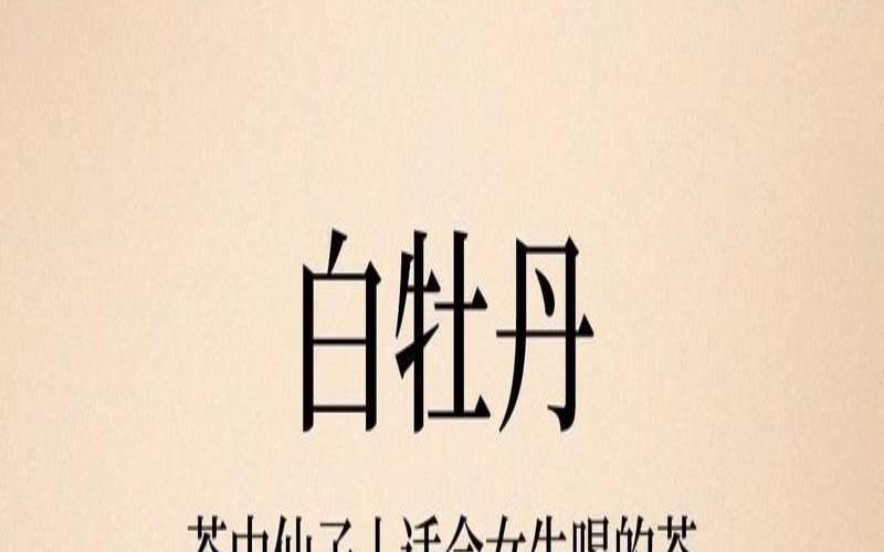 白牡丹白茶属于什么茶,白牡丹是啥茶