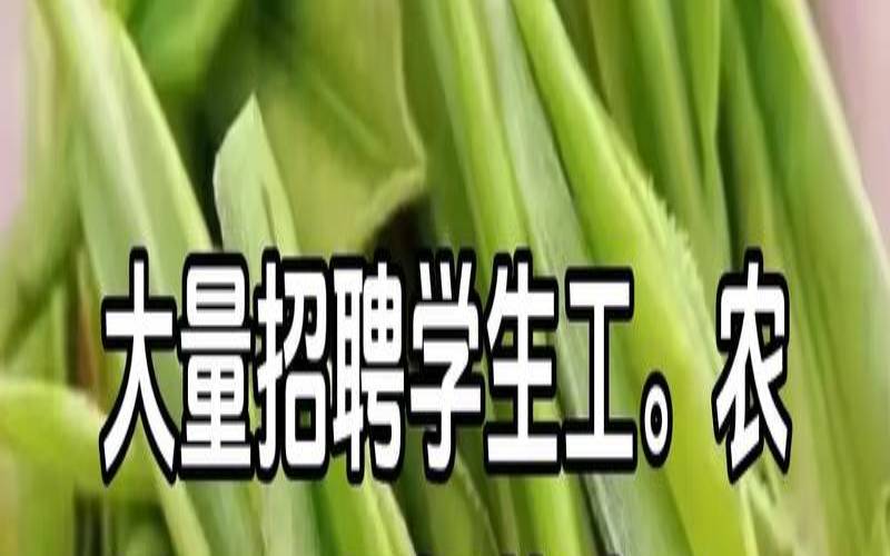 中国最大的生产茶叶厂家,茶叶工厂工人招聘