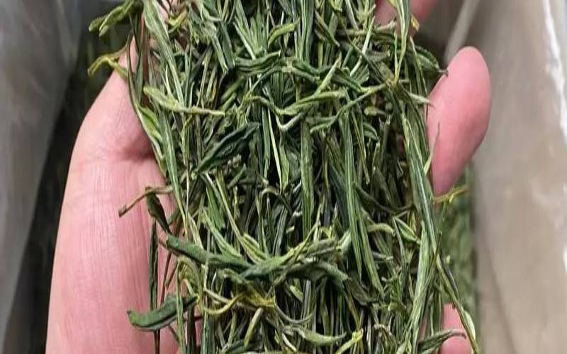 新茶黄山毛峰多少钱一斤,黄山毛峰本真茶叶价格表