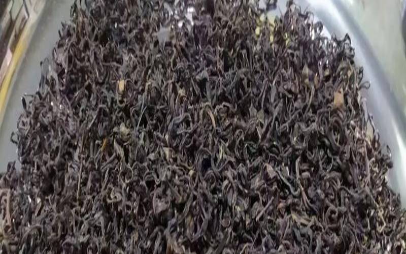 日照红茶是红茶吗,日照红茶怎么泡