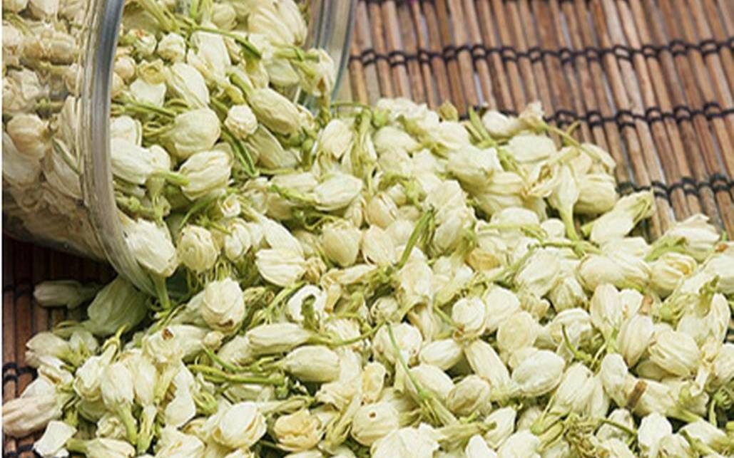 茉莉花的样子气味,茉莉花散发着什么香味