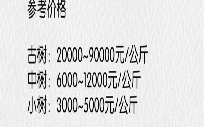 普洱茶中的冰岛是啥意思,老寨冰岛茶价格 普洱茶中的冰岛是啥意思,老寨冰岛茶价格
