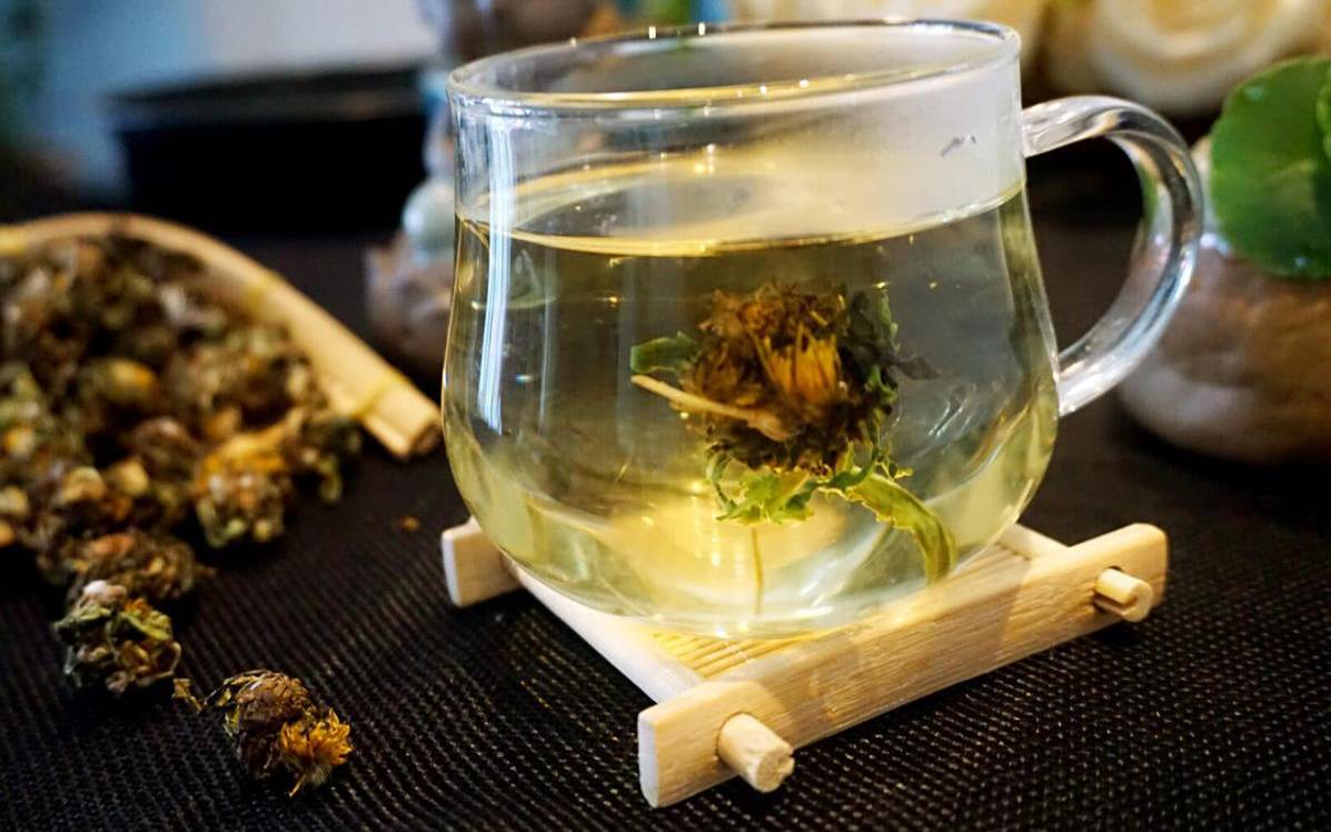 黑苦荞加蒲公英的功效,蒲公英泡水喝对胃有好处吗