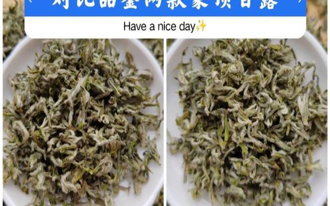 蒙顶甘露属于碧螺春吗,蒙顶黄芽和蒙顶甘露的区别 蒙顶甘露属于碧螺春吗,蒙顶黄芽和蒙顶甘露的区别