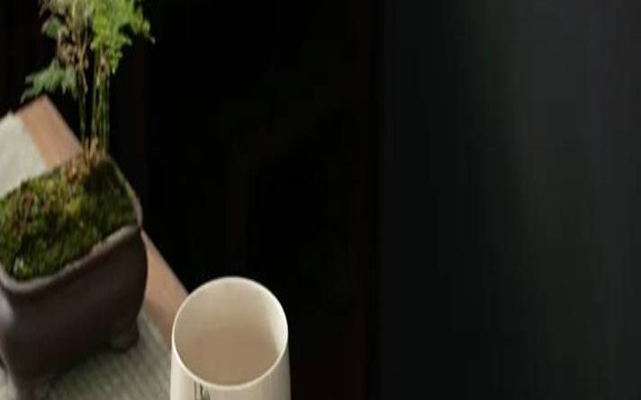 釉茶具泡茶好吗,无釉茶壶和有釉哪个好 釉茶具泡茶好吗,无釉茶壶和有釉哪个好