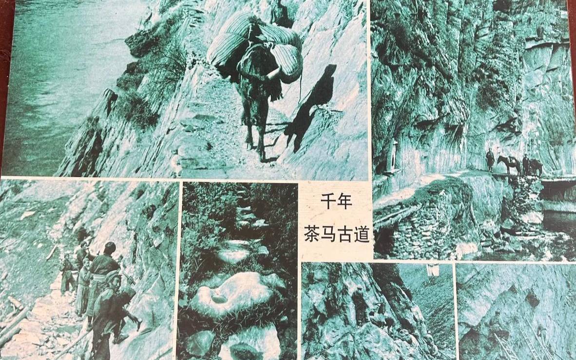 茶马古道与普洱茶的故事,茶马古道茶饼 茶马古道与普洱茶的故事,茶马古道茶饼