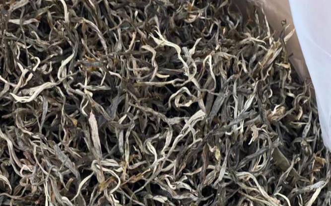普洱茶叶底太绿怎么回事,普洱茶泡完颜色分层 普洱茶叶底太绿怎么回事,普洱茶泡完颜色分层