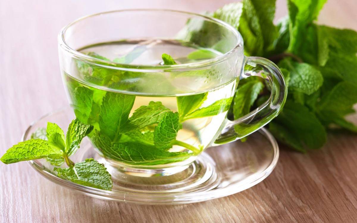薄荷茶和什么搭配比较好,薄荷茶和什么搭配好 薄荷茶和什么搭配比较好,薄荷茶和什么搭配好