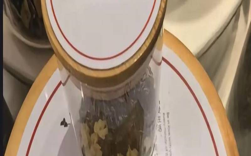 南方嘉木茶属于什么茶,嘉木东来普洱茶 南方嘉木茶属于什么茶,嘉木东来普洱茶