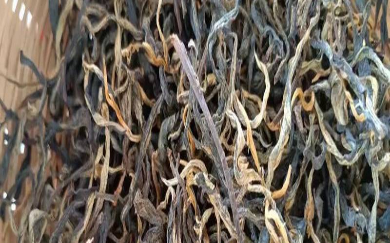 普洱茶怕阳光吗,普洱茶要经常晒一晒 普洱茶怕阳光吗,普洱茶要经常晒一晒